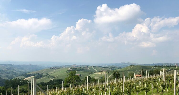 北部イタリアワインの重要ポイント講座～イタリアが好きになる！得意になる！～