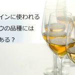 白ワインに使われるブドウの品種には何がある？