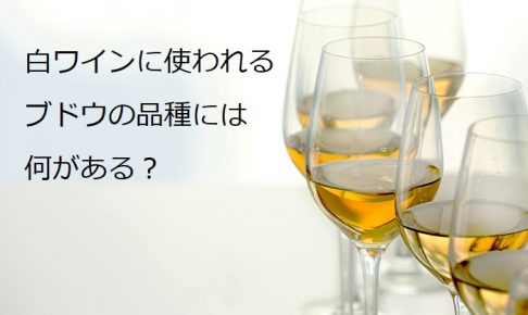 白ワインに使われるブドウの品種には何がある？