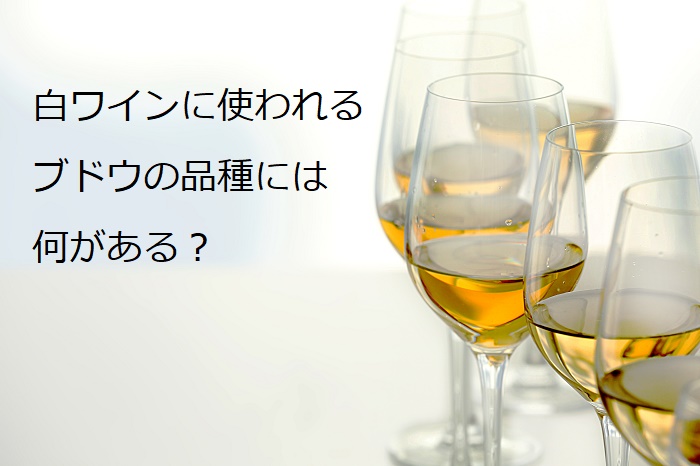 白ワインに使われるブドウの品種には何がある？