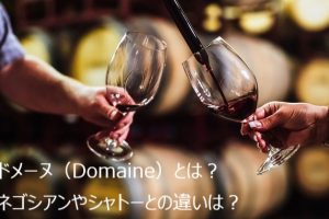 ドメーヌ（Domaine）とは？ネゴシアンやシャトーとの違いは？