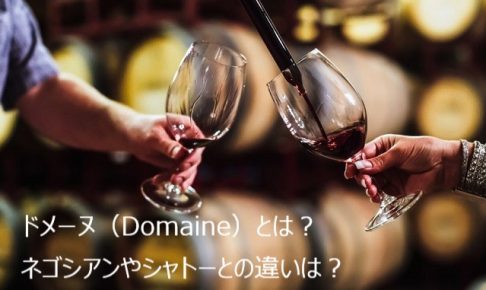 ドメーヌ（Domaine）とは？ネゴシアンやシャトーとの違いは？