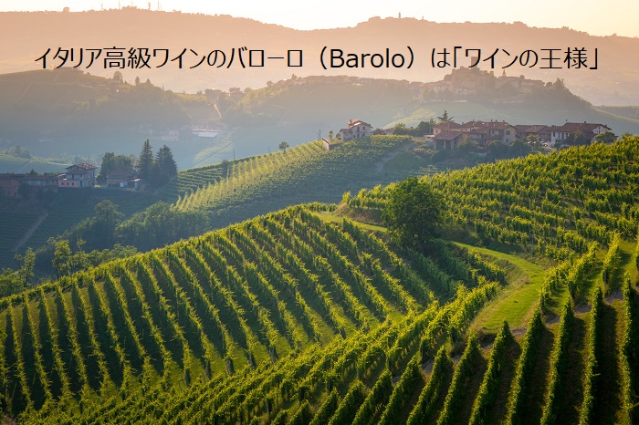 イタリア高級ワインのバローロ Barolo は ワインの王様 アカデミー デュ ヴァン ブログ