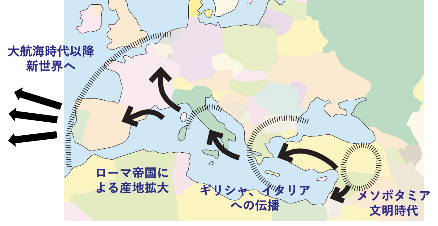 ワインの伝播