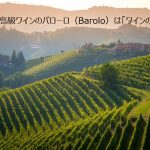 イタリア高級ワインのバローロ（Barolo）は「ワインの王様」