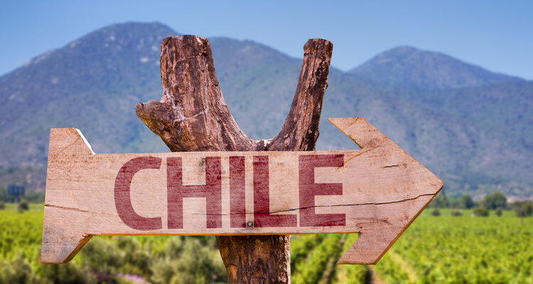 チリワイン生産者団体公認『Wine Adventures in Chile』