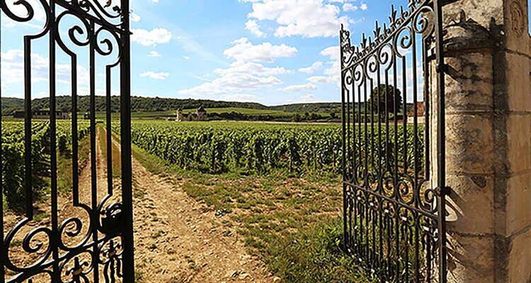 Quintessence of Burgundy ブルゴーニュの精髄 2 Bourgogne Blanc 1999