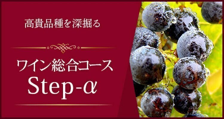 Step-α　＜大阪校＞　７月スタート