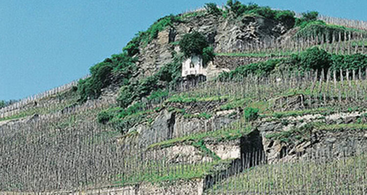 モーゼルの精髄　Spätlese 2001