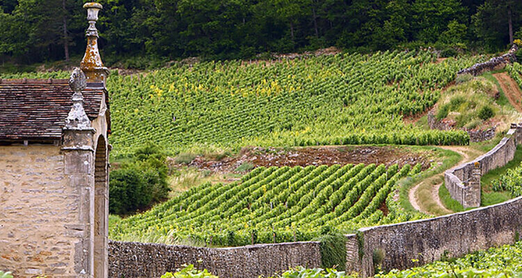 ブルゴーニュの精髄4　Volnay 2005