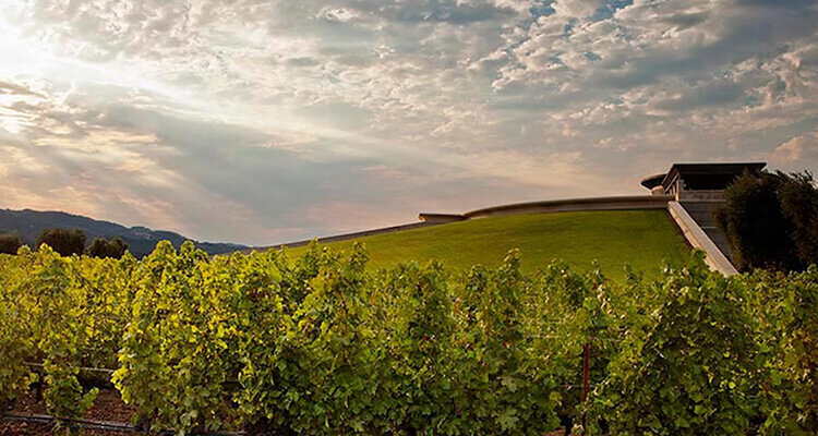 カリフォルニアの精髄　Cabernet Sauvignon 1986