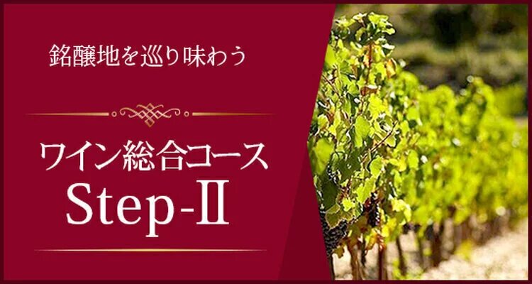 Step-Ⅱ＜K-Wine Salon横浜教室＞2026年4月スタート（前半：第9回~第16回分）