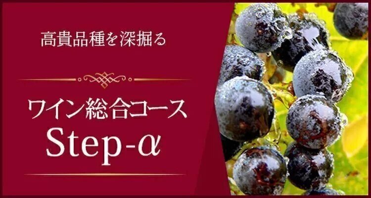 Step-α＜茅場町・八丁堀 Erieワイン教室＞　2026年6月スタート