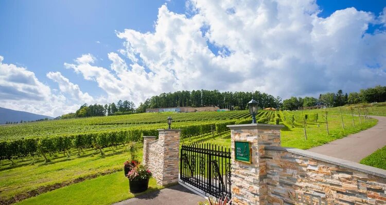 【生産者セミナー】世界が注目する北海道 余市•仁木のテロワール― NIKI Hills Winery の挑戦～土壌・栽培編～