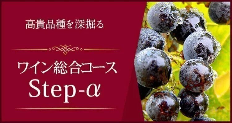 Step-α＜K-Wine Salon横浜教室＞　2026年11月スタート