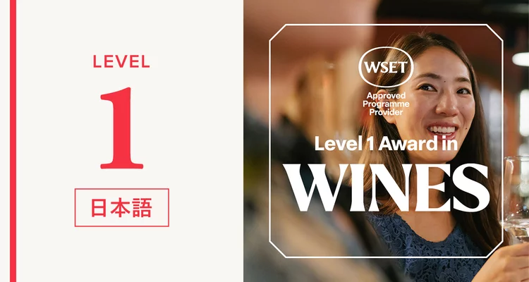 青山校 【2026年10月～2027年3月開講】WSET® ワインレベル1資格（日本