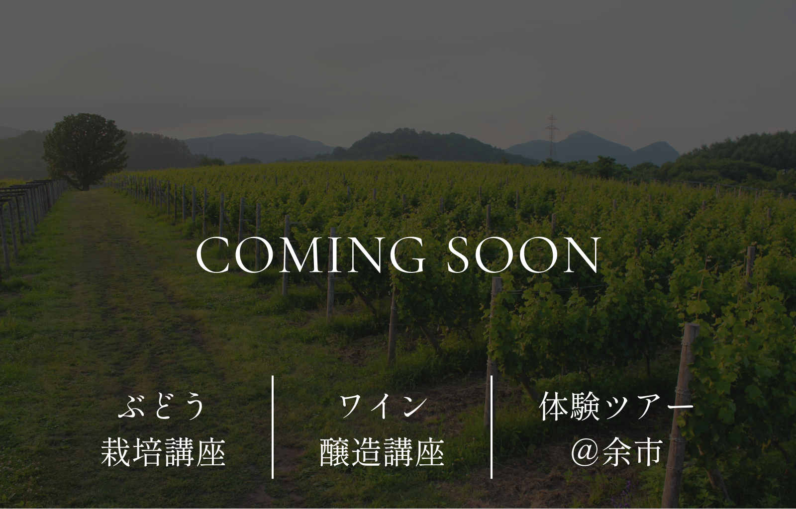 coming_soon_02