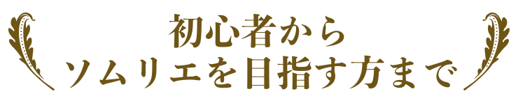 初心者からソムリエを目指す方まで