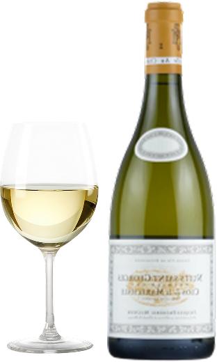 希少な白のマレシャル NSG1erクロ・ド・ラ・マレシャル