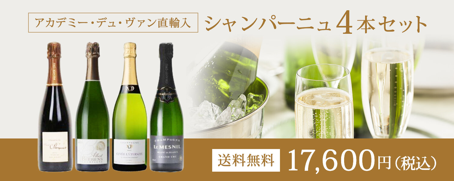 最大61 オフ ワイン シャンパン エクストラ ブリュット グランクリュ ポール ルイ マルタン Nv フランス シャンパーニュ 辛口 750ml Materialworldblog Com