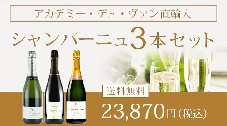 アカデミー・デュ・ヴァン直輸入シャンパーニュ3本セット