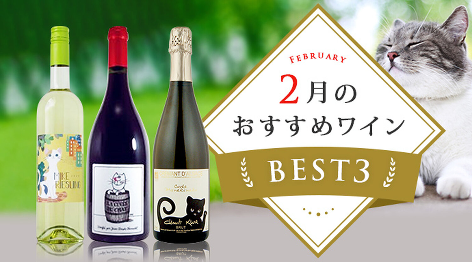 今だけの特別価格！2月のおすすめワイン