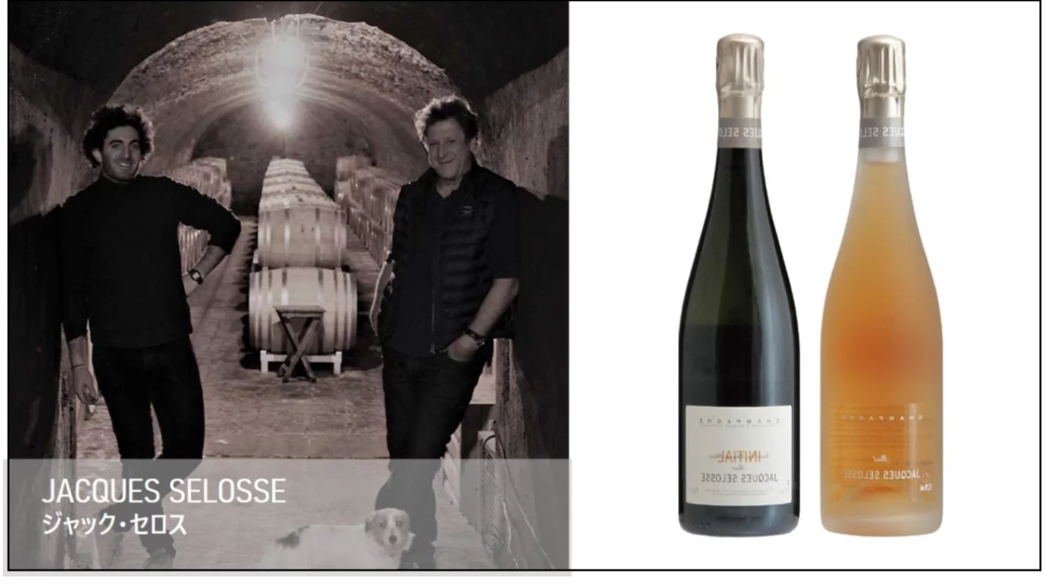Jacques Selosseジャック・セロス | ワイン通販ならワインショップ