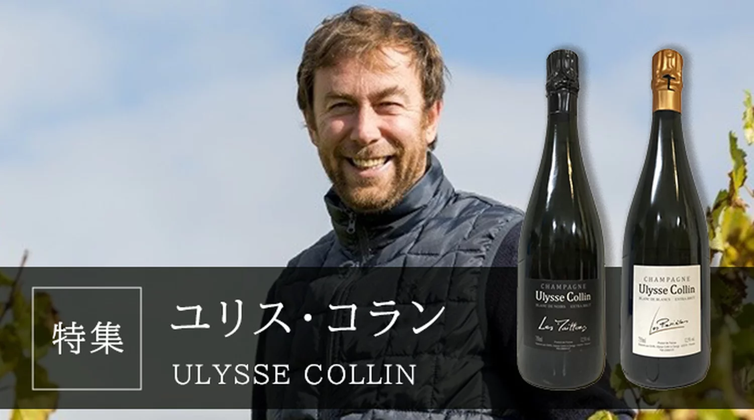 Ulisse Collin ユリス・コラン | ワイン通販ならワインショップ カーヴ