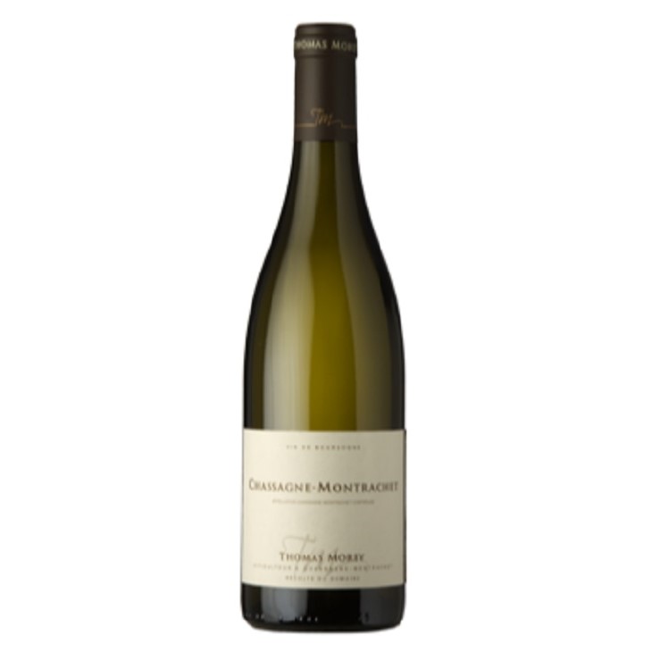 トマ・モレ　シャサーニュ・モンラッシェ　2017-Chassagne Montrachet