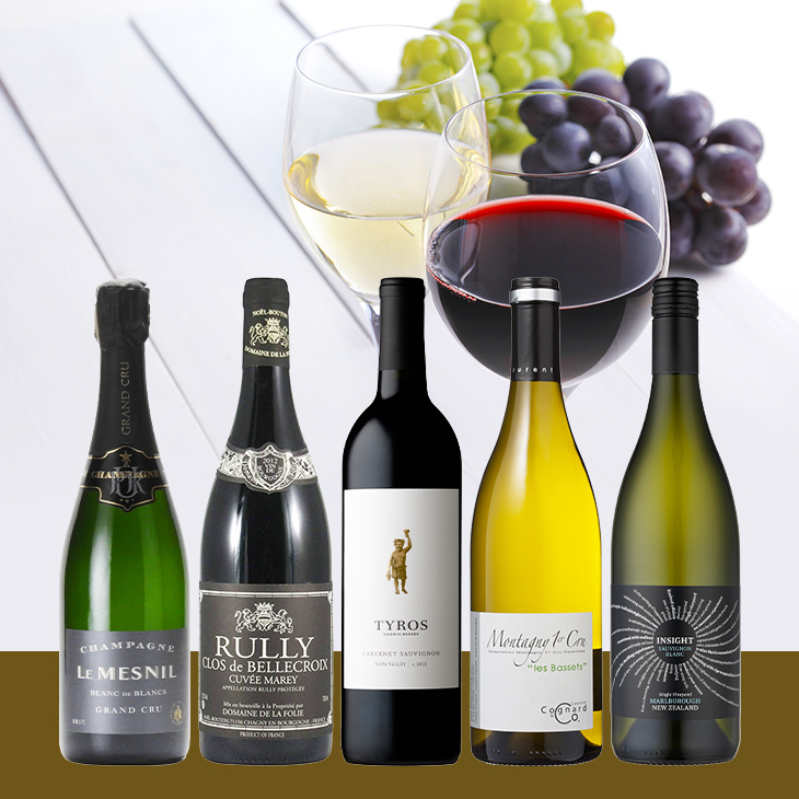 アカデミー・デュ・ヴァン直輸入　泡·⽩·⾚ミックスワイン5本セット-Academie du Vin Mixed Assortment