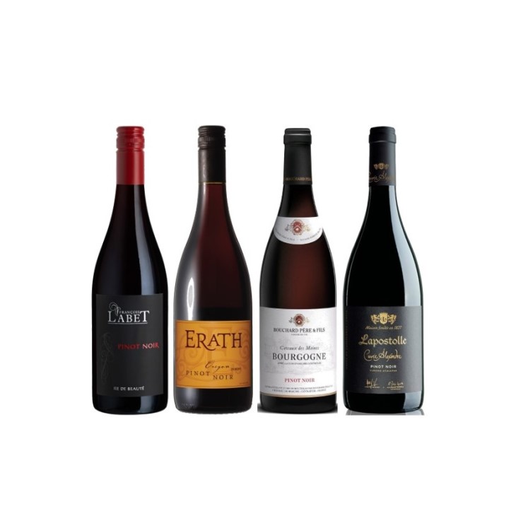 さらに追加【ポイント10倍！1040ポイント】ピノ・ノワール4本セット-T_ Pinot Noir 4-bottle Set