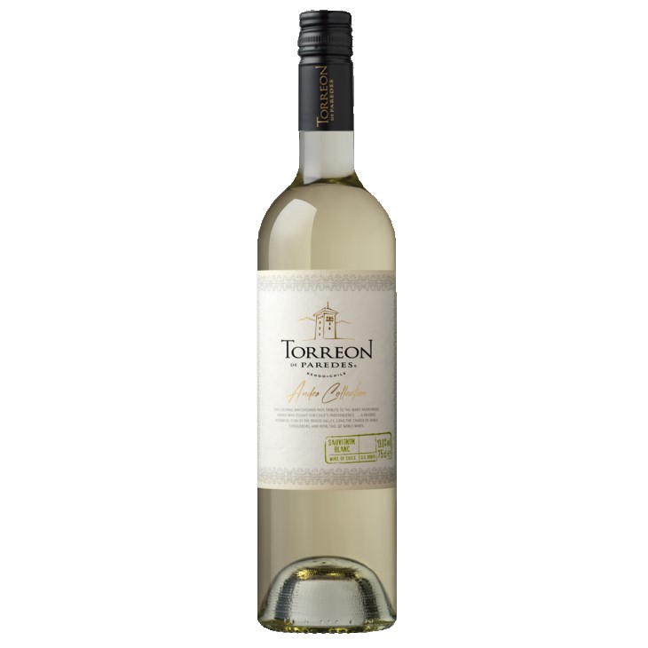 【模範解答付き】トレオン・デ・パレデス アンデス・コレクション・ソーヴィニヨン・ブラン-Andes Collection Sauvignon Blanc