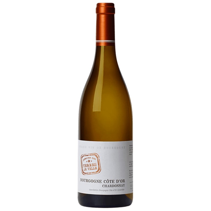 ドメーヌ・デ・テール・ド・ヴェル 　ブルゴーニュ・シャルドネ-Bourgogne Chardonnay