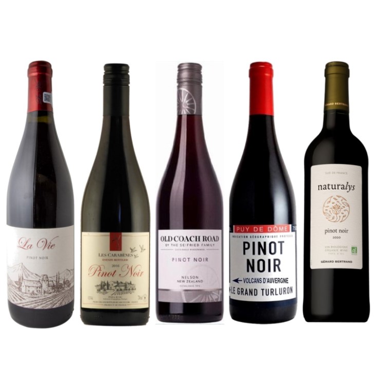 高コストパフォーマンスのワインを厳選　ピノ・ノワール5本セット-Pinot Noir 5-bottle Set