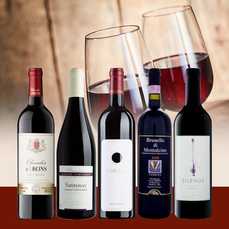 アカデミー・デュ・ヴァン直輸入赤ワイン5本セット-Academie du Vin Red Wine Selection 5-bottle Set