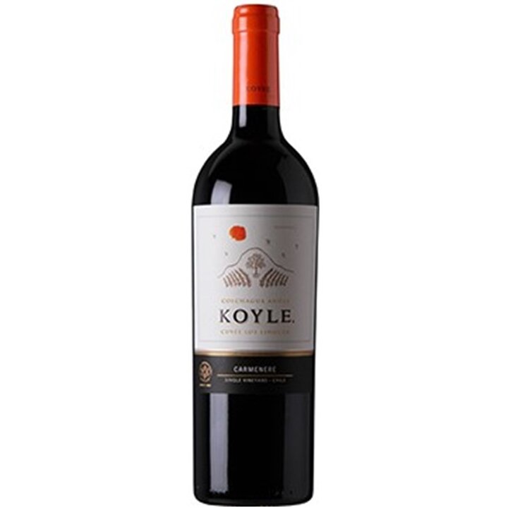 【模範解答付き】ヴィーニャ・コイレ 　キュヴェ・ロス・リンゲス・カルメネール-Cuvee Los Lingues Carmenere