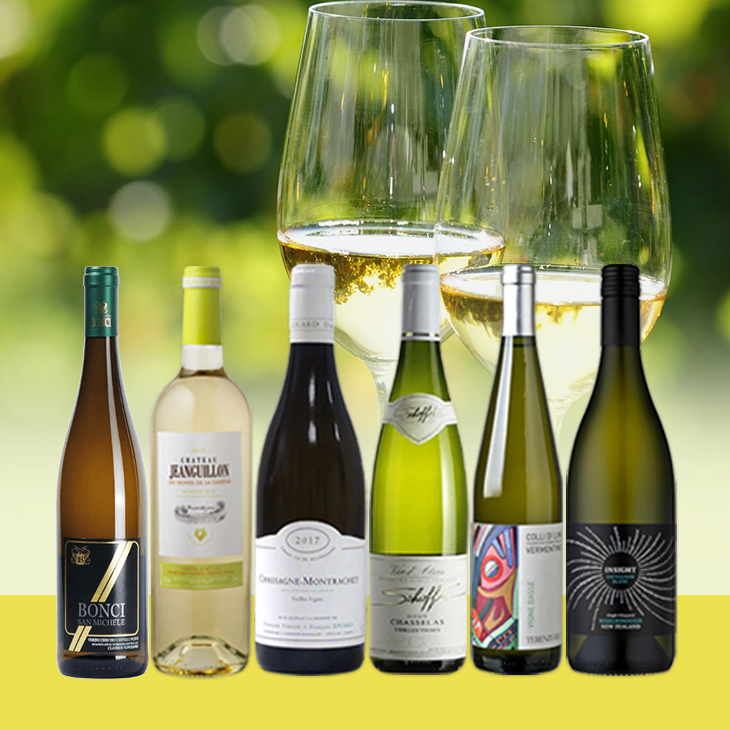 アカデミー・デュ・ヴァン直輸入白ワイン6本セット”一級畑レ・シャンガン”入り-Academie du Vin White Wine Selection” including 1er cru Les Champs Gains”