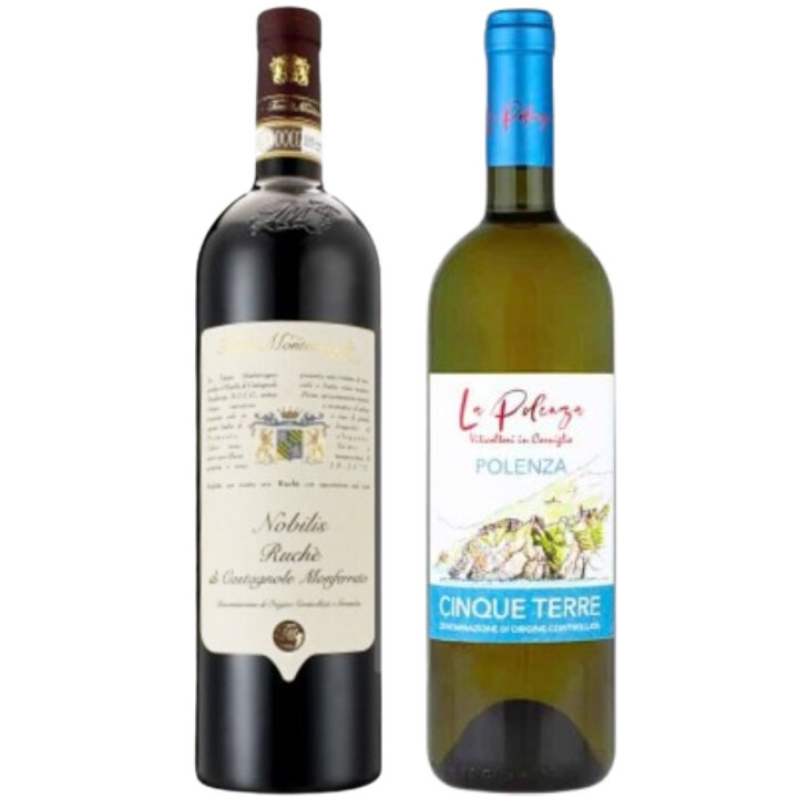 店長おすすめワインセット　より深く知るイタリア赤白2本セット-Caves de la Madeleine Sommelier's Recommendation Know more Italian 2-bottle set
