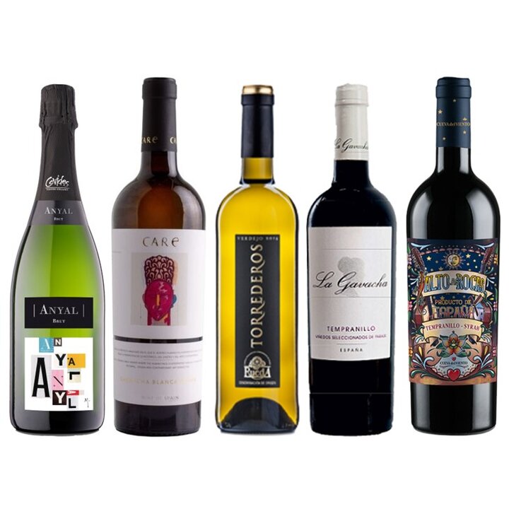 お家でスペインを満喫　安旨スペインワイン5本セット-Spanish Wine Set 5-bottle Set