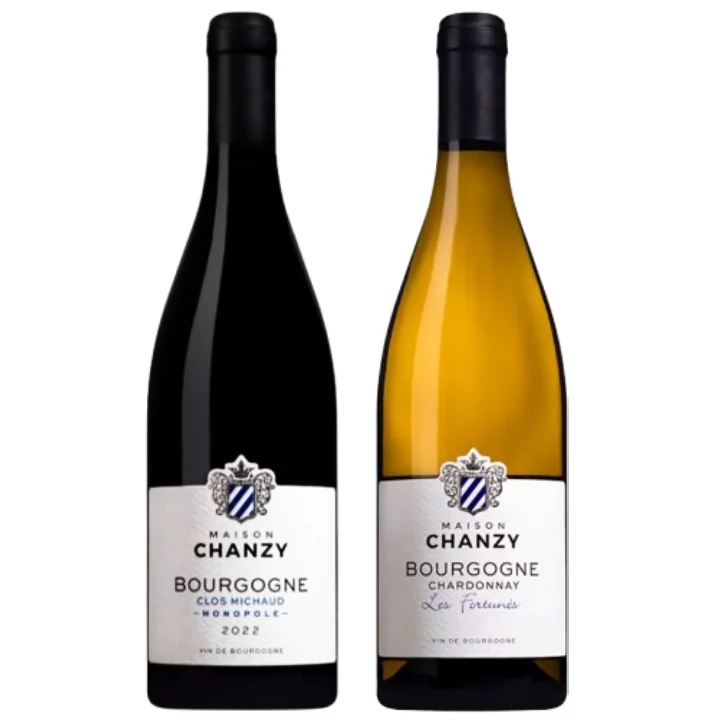 ブルゴーニュの新世代生産者『シャンジー』 紅白2本セット-Chanzy Burgundy red and white 2-bottle set