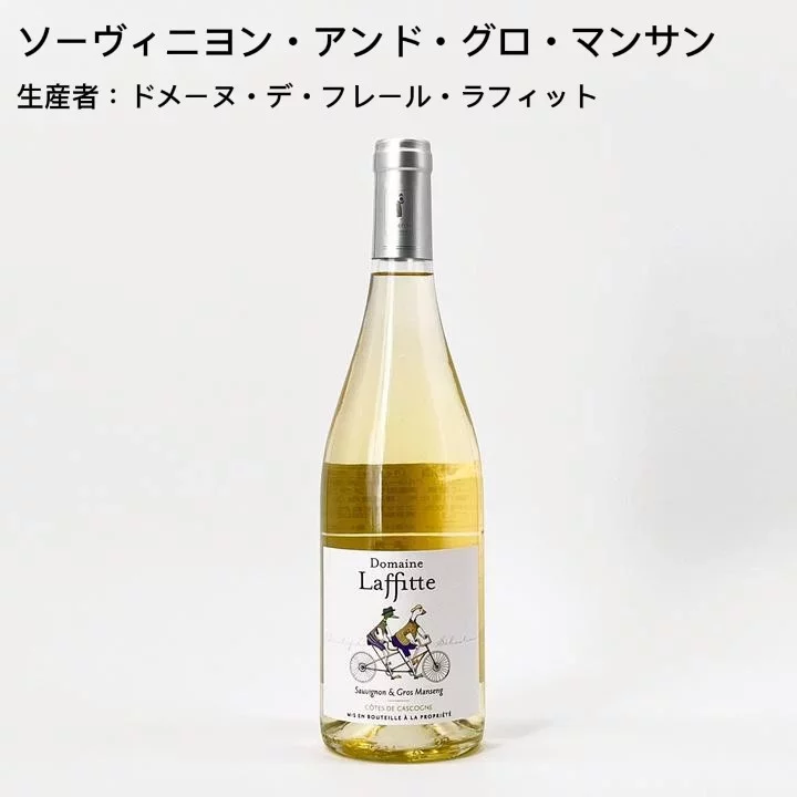 【当店No.1ロングセラー！】店長おすすめワインセットvol.1 　厳選！最高の日常家飲みワイン編5本セット-Caves de la Madeleine Sommelier's Recommendation vol.1