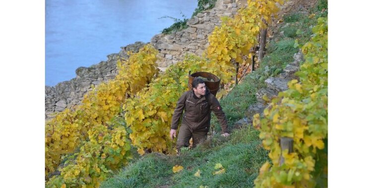 フランツ・ヨーゼフ・グリッチュ リード・シュタインボルツ