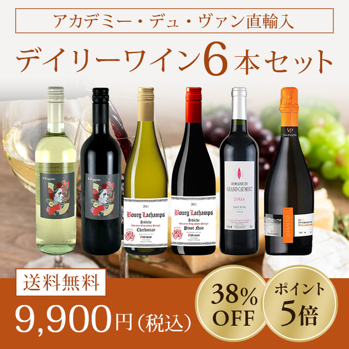 アカデミー・デュ・ヴァン直輸入デイリーワイン6本セット送料無料9,900円（税込）[35%OFF][ポイント5倍]
