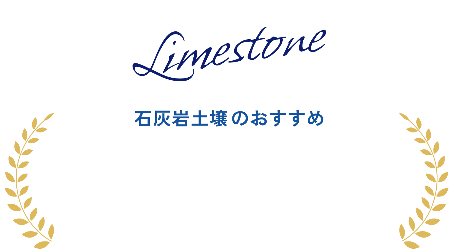name