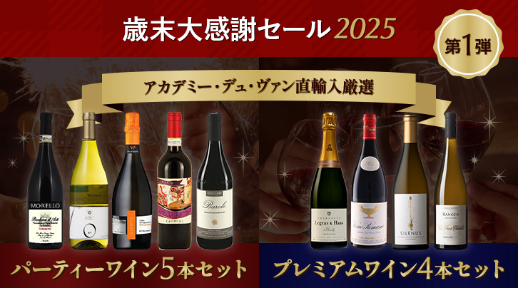 歳末大感謝セール2025&nbsp;第1弾&nbsp;アカデミー・デュ・ヴァン直輸入厳選&nbsp;パーティーワイン5本セット&nbsp;プレミアムワイン4本セット