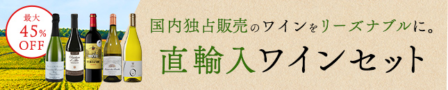 直輸入セット