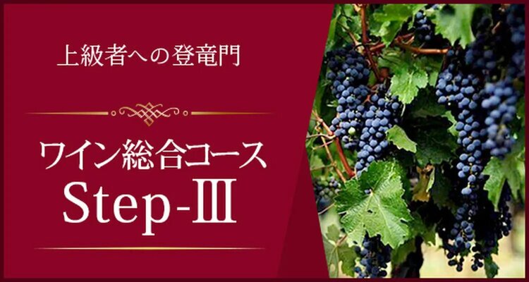 Step-Ⅲ＜青山校＞