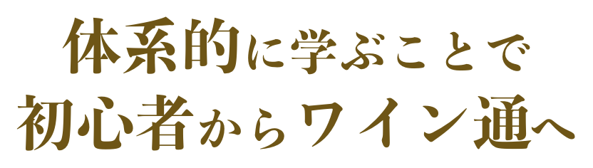 体系的に学ぶことで初心者からワイン通へ